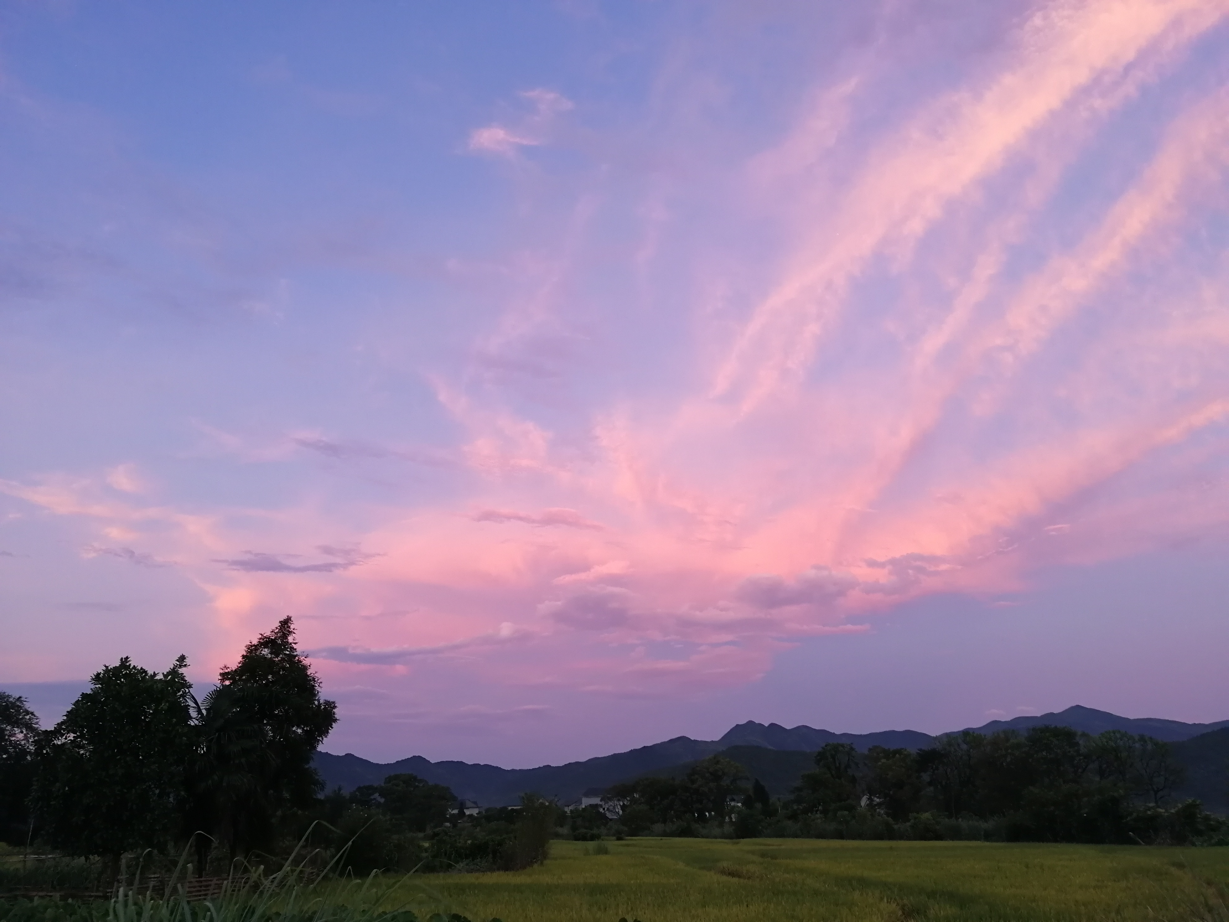 破港村(江西省上饒市鉛山縣陳坊鄉破港村)