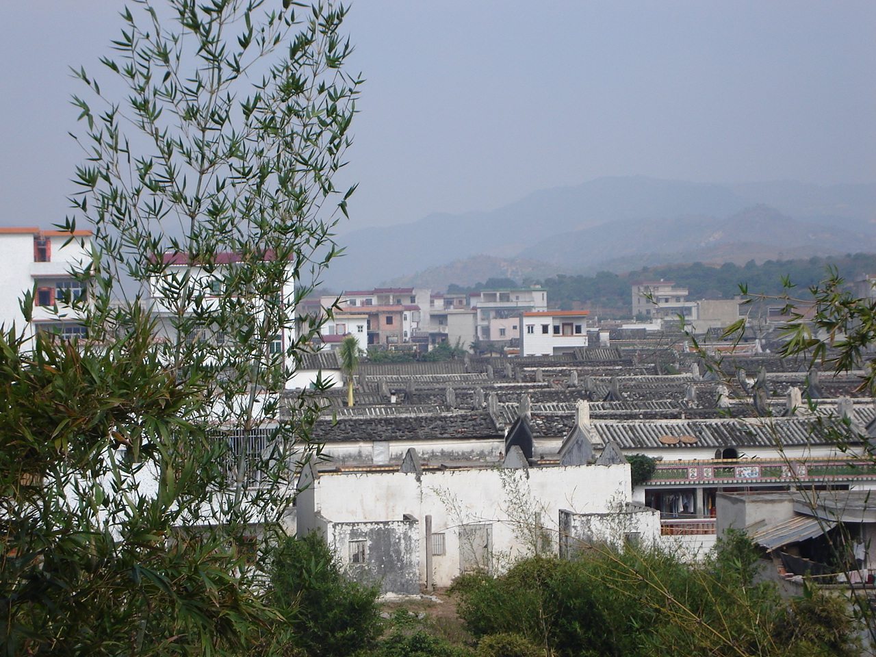 新星村(廣東普寧市南陽山區雲落鎮新星村)