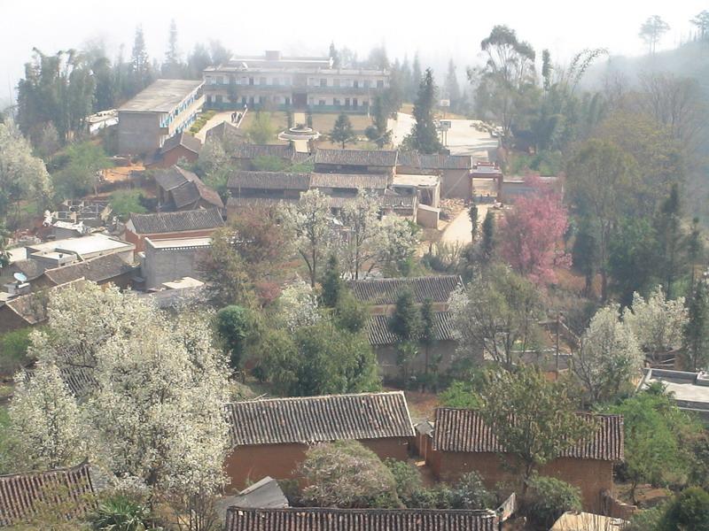 車古大寨村