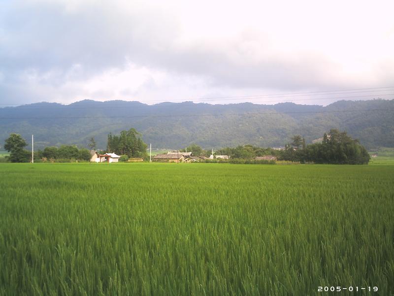 村中田園