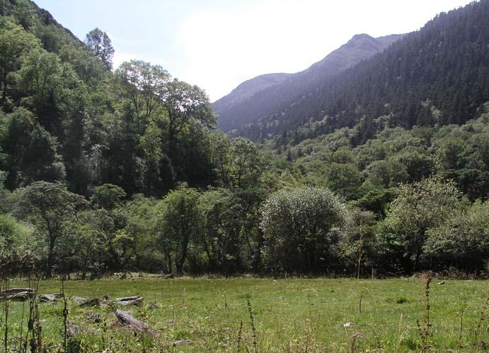 夾金山國家森林公園