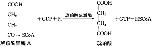 吸能反應