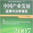 中國產業發展監測與分析報告2007