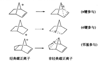 活性中間體