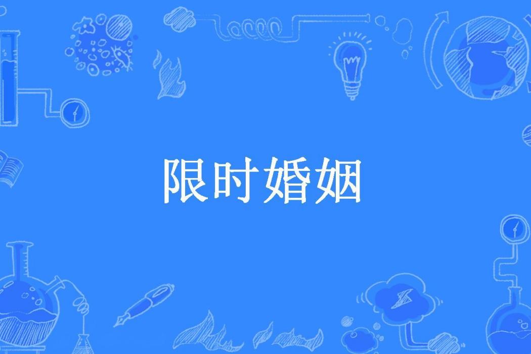 限時婚姻(雨晴所著小說)