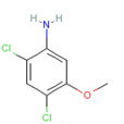 2,4-二氯-5-甲氧基苯胺