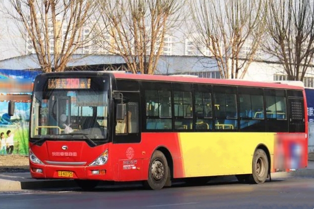 瀋陽公交290路現役車型