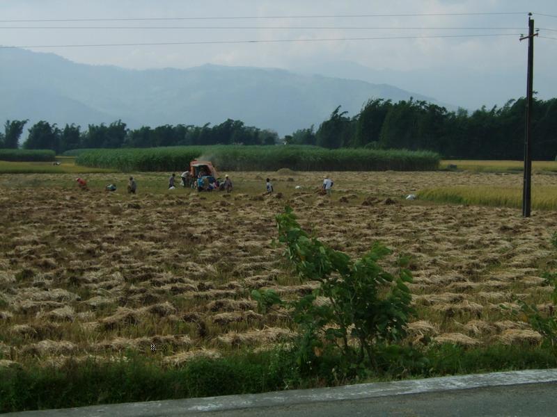 南緩村