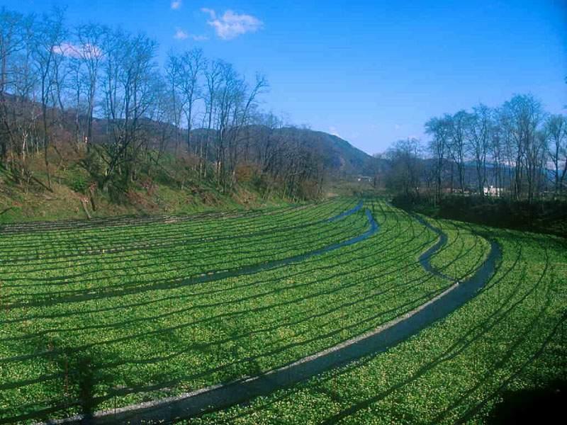 小山北村