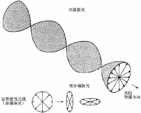 偏振光示意圖