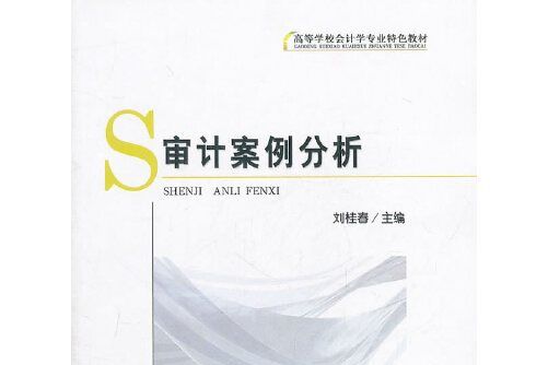 審計案例分析(2011年經濟科學出版社出版的圖書)