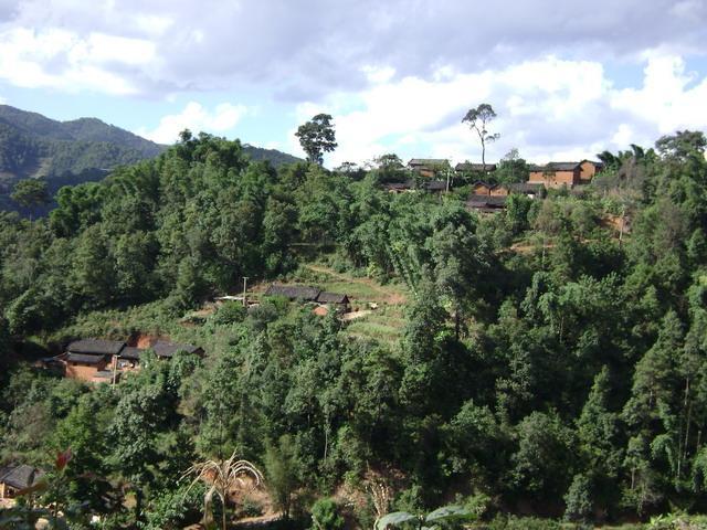 大平田自然村(雲南省臨滄市耿馬傣族佤族自治縣勐撒鎮芒茂村轄自然村)