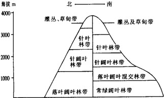 垂直帶性分異