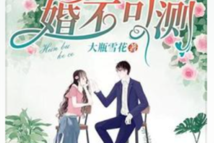 婚不可測(大瓶雪花所著小說)