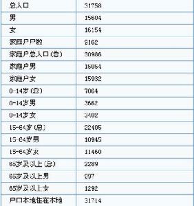 河店鎮第5次人口普查表