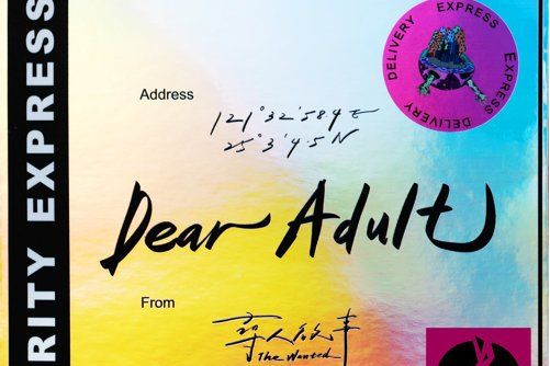 Dear Adult