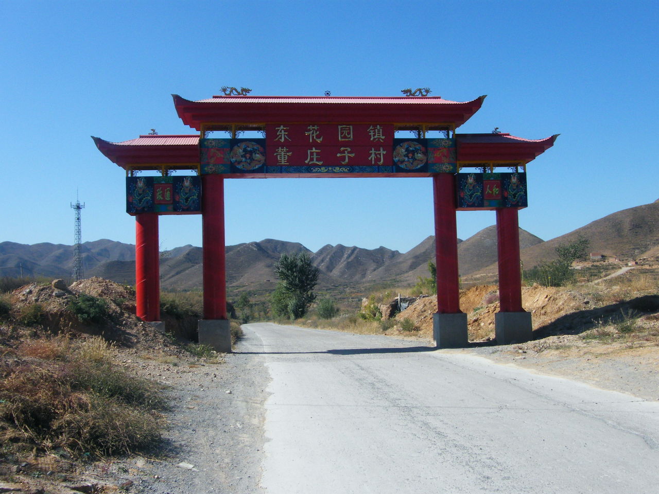 董莊子村(河北省張家口市懷來縣東花園鎮下轄村)