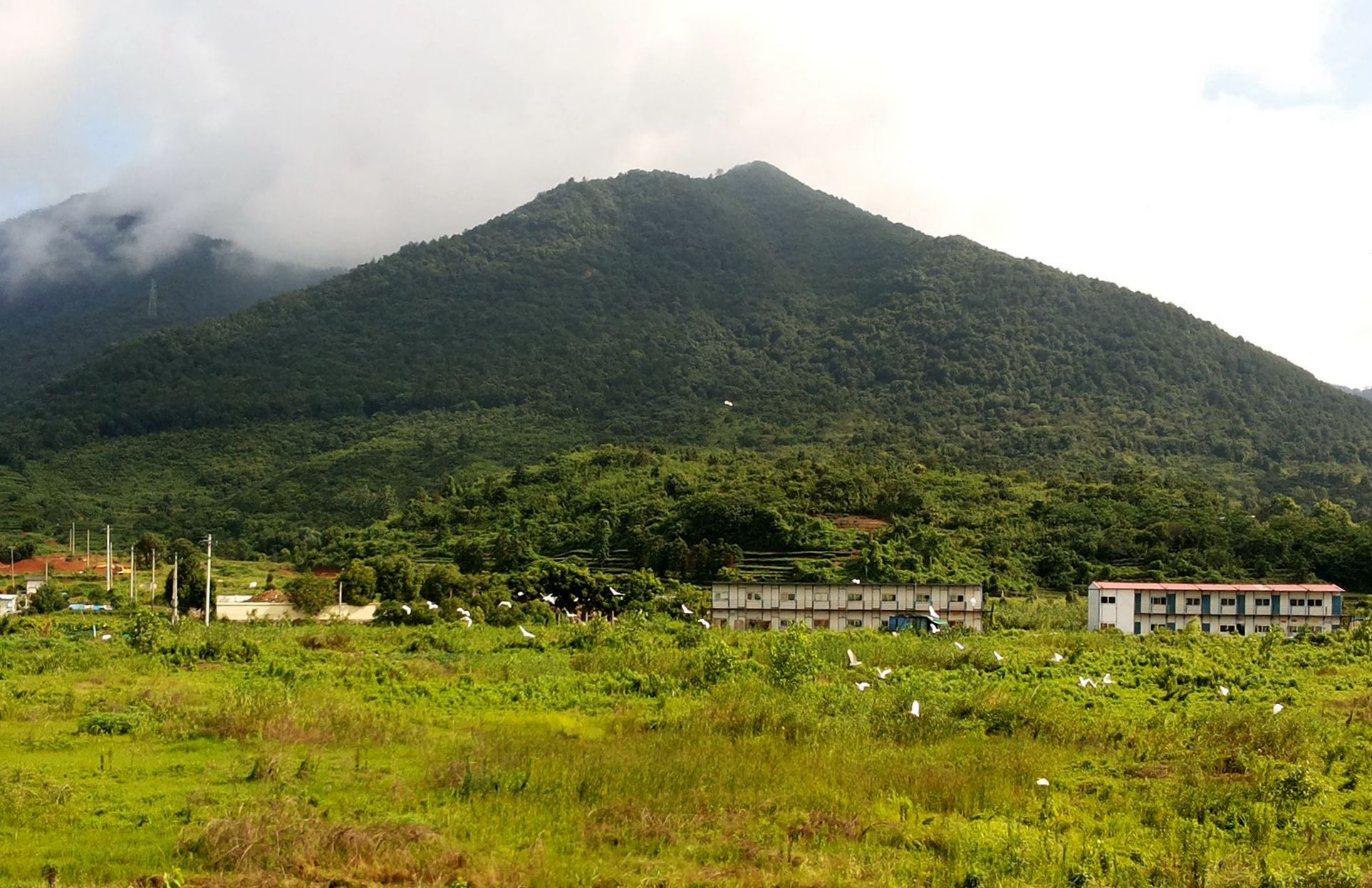 白鶴村(重慶市江津區中山鎮下轄村)