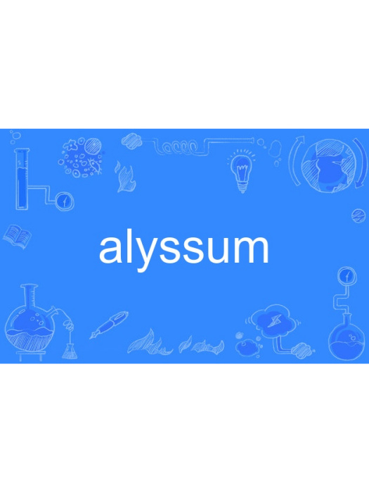 alyssum