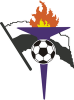 梅迪亞什沼氣足球俱樂部隊徽