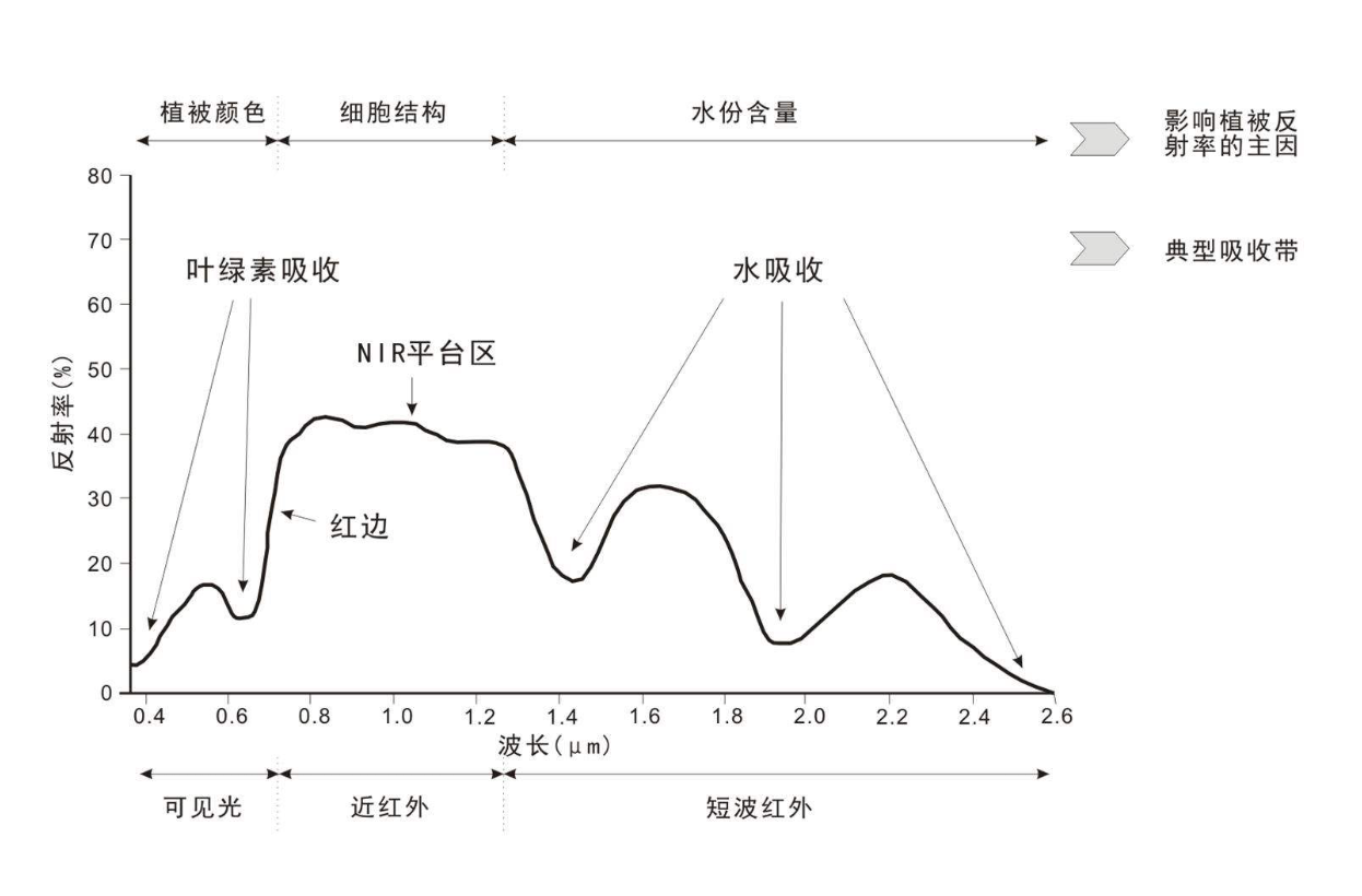 植被光譜