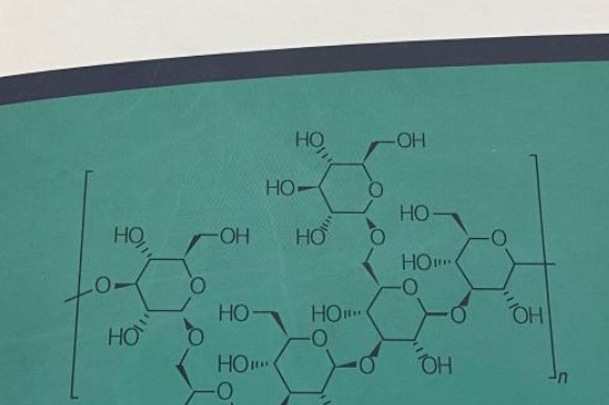 食藥用真菌中的生物活性物質及其套用研究