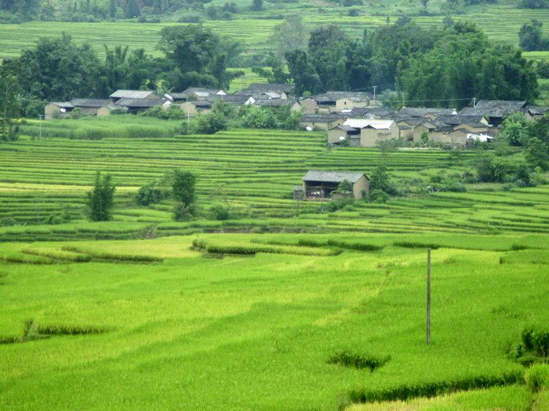 章巴村(芒東鎮下轄村)