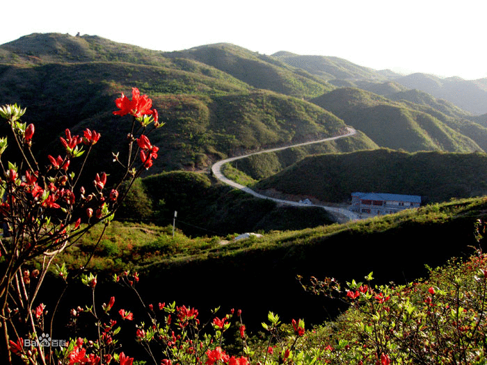 湖南中坡國家森林公園