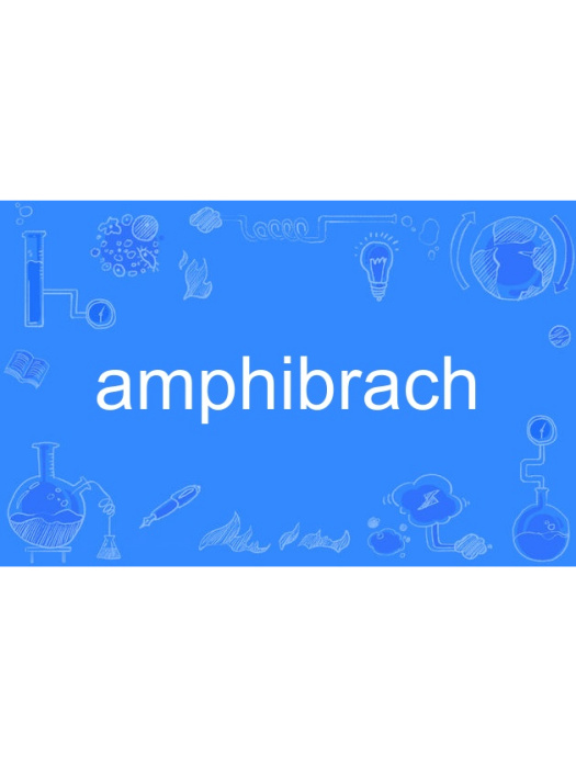 amphibrach