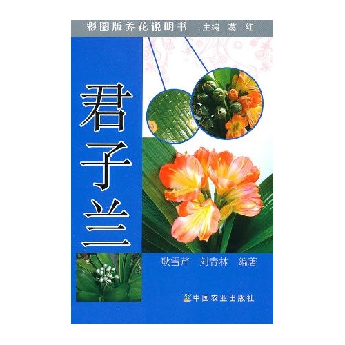 君子蘭（彩圖版養花說明書）