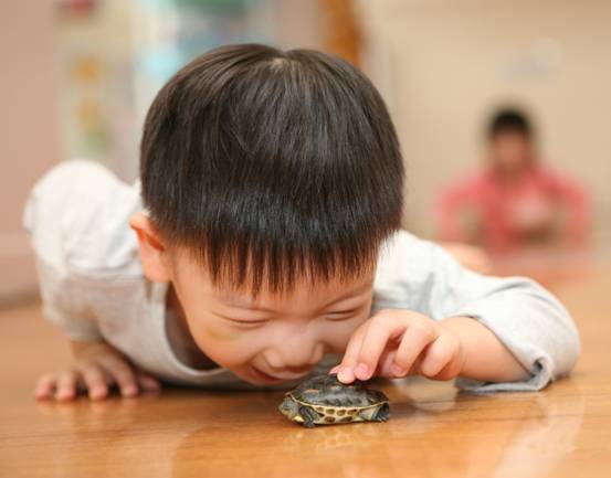 勁葛琳克嬰幼學苑