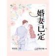 婚妻已定(顧北北所著小說)