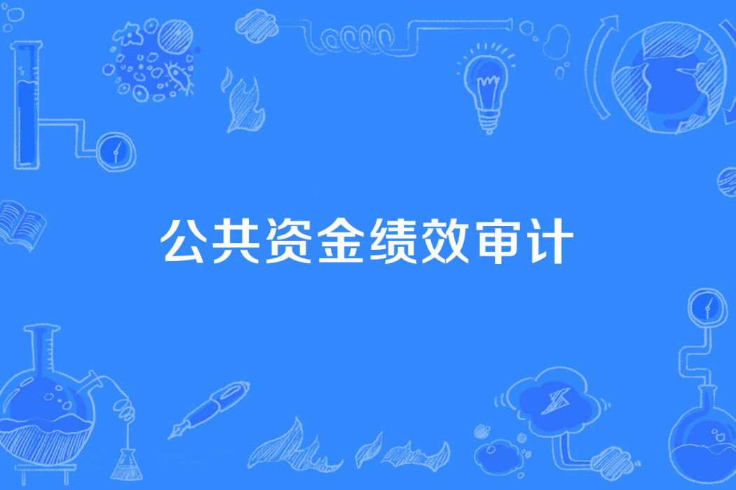 公共資金績效審計