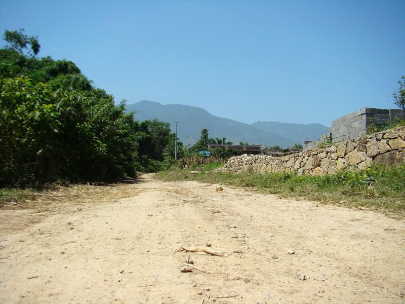 糞箕灣自然村通村道路