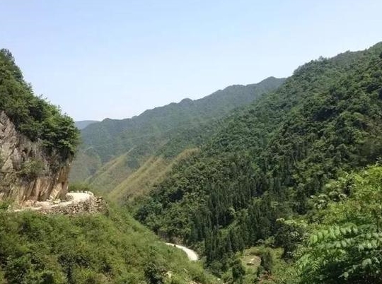 浙江黃岩大寺基森林公園