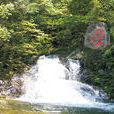 楊家莊村(雲南省楚雄祿豐縣金山鎮楊家莊村)