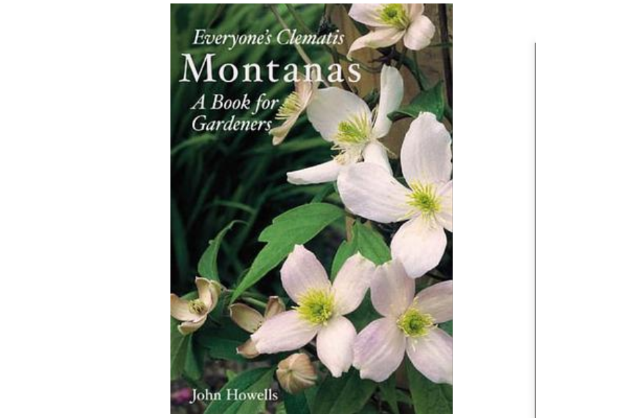 Everyone\x27s Clematis - The Montanas