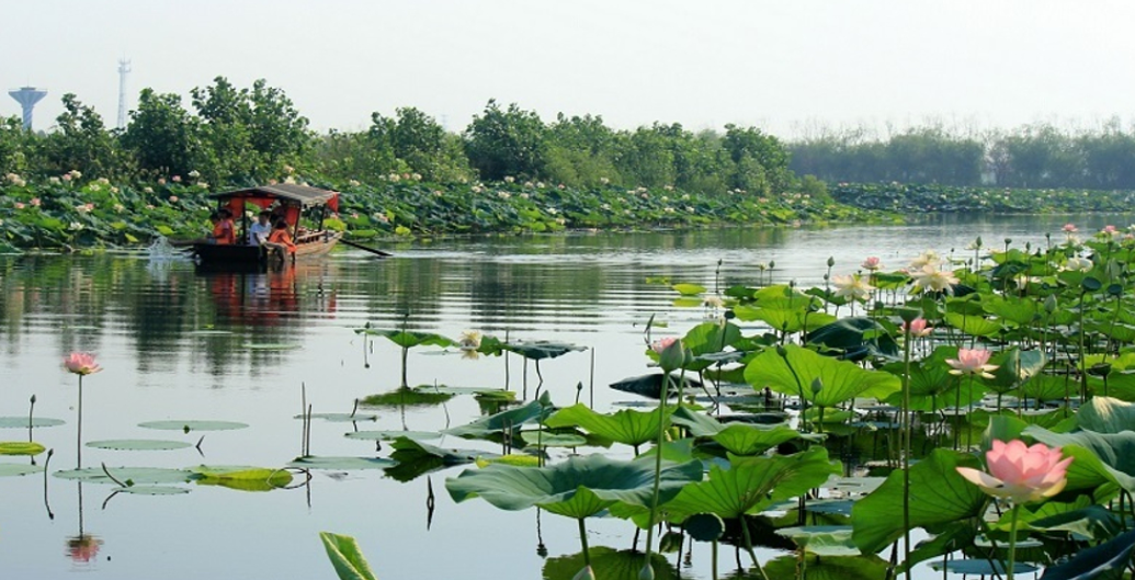 安徽淮南焦崗湖國家濕地公園