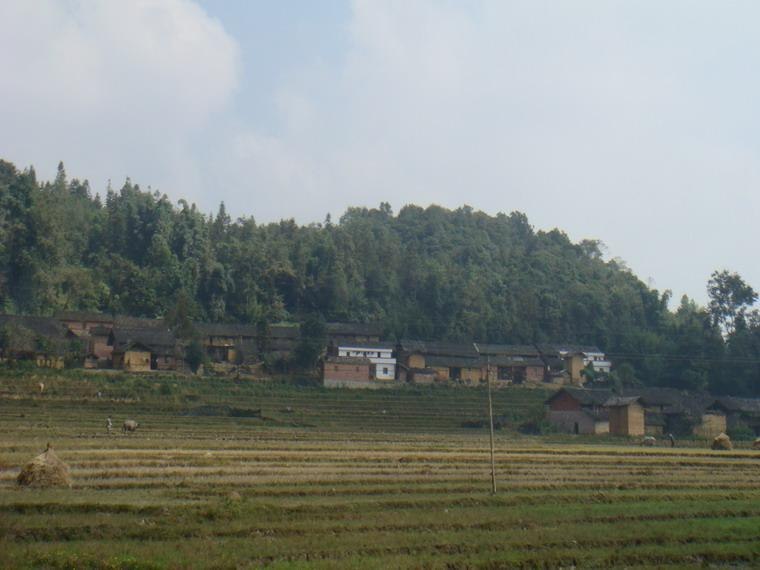 老屋基村(雲南文山州馬關縣夾寒箐鎮下轄村)