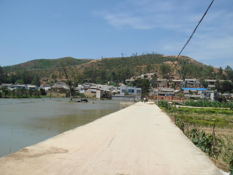 進村道路