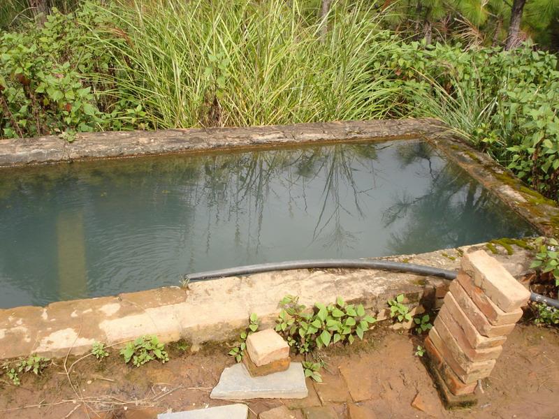 大領乾村(雲南建水縣青龍鎮下轄村)