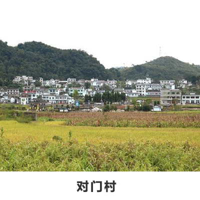 對門村(雲南曲靖市羅平縣板橋鎮下轄村)