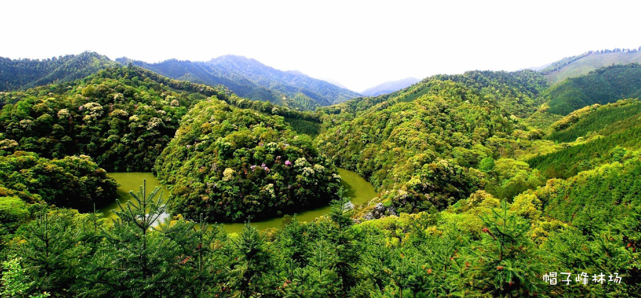 帽子峰林場