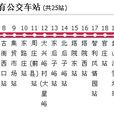 天津公交旅遊專線11路