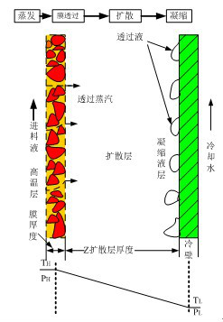 膜蒸餾過程中傳質和傳熱模型