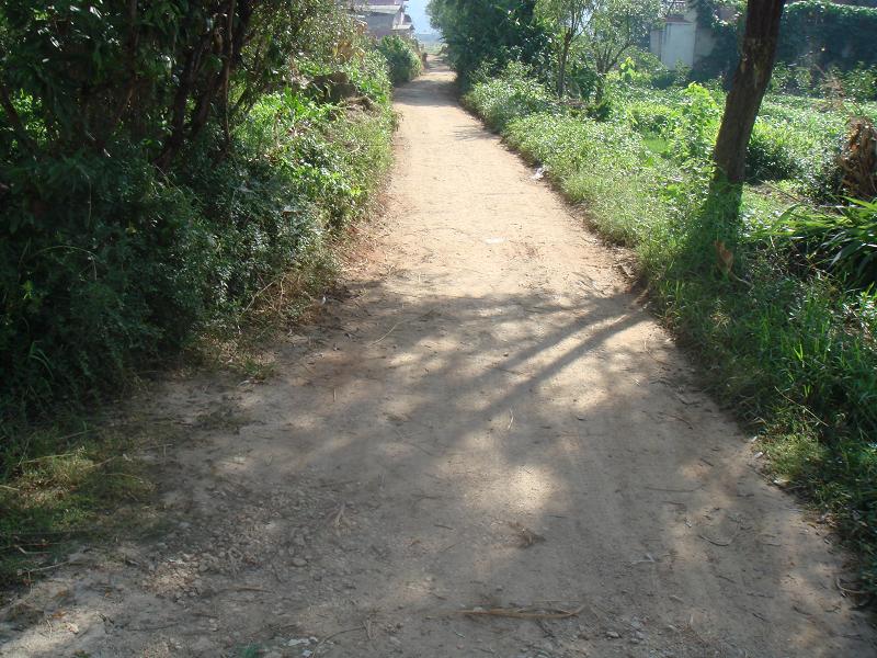 團樹一自然村通村道路