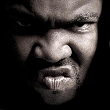 Gorilla Zoe