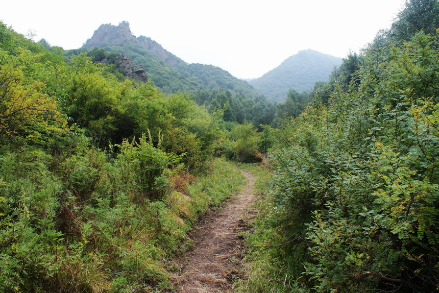 西梁村(山西原平市段家堡鄉下轄村)