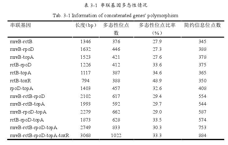 多位點序列分析