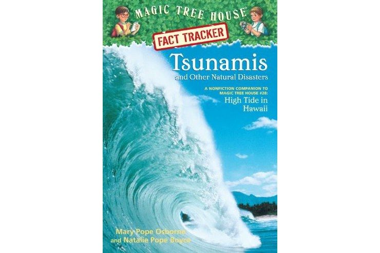 Tsunamis and Other Natural Disasters